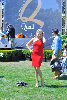 Unassuming Camper Model