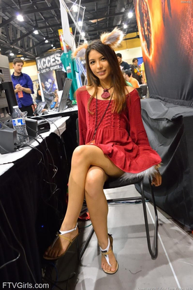 Holo The Brainy Wulf