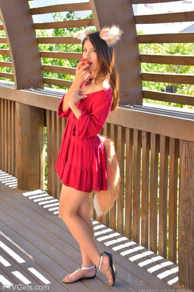 Holo The Brainy Wulf