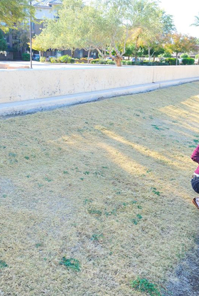 Free-For-All to Have Fun!