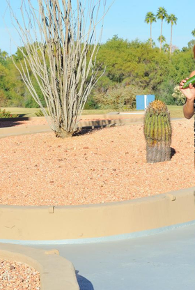 Long Legged & Jaw-Dropping