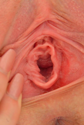 Guest Room Macro Shots