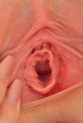 Guest Room Macro Shots