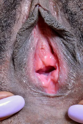 Raven Wilde's tight black pussy & tight Indian ass get spread and examined up close